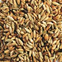 Read Buy Organics Online Reviews